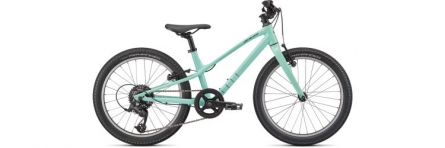 SPECIALIZED Jett 20 Multispeed