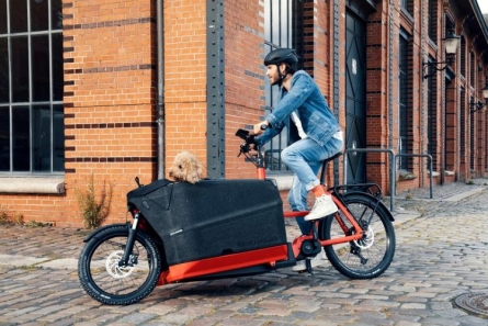 Riese & Müller Packster 70 Vario