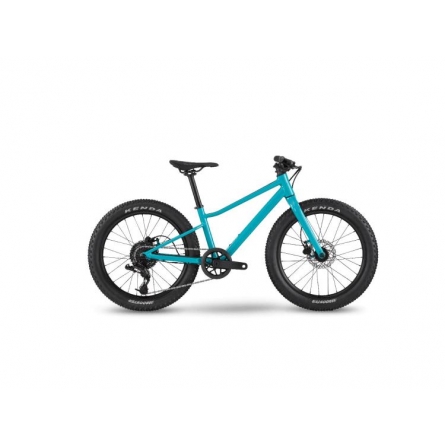 BMC Twostroke AL 20