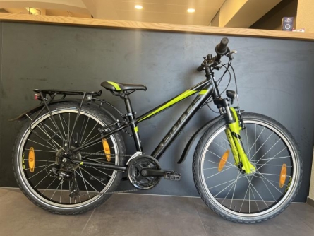 Bulls Tokken Street 24"