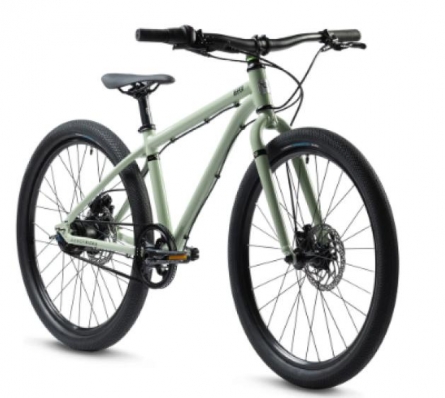 Early Rider Belter 24''