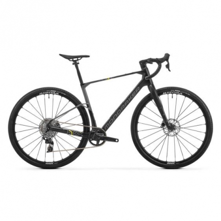 Mondraker ARID CARBON R