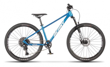 Beany Blaster 27.5