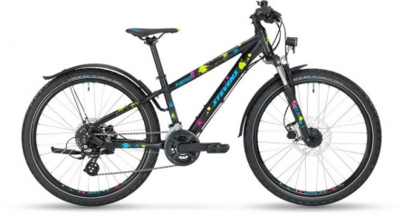 Stevens Furious 24"