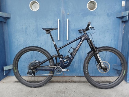 SPECIALIZED Enduro S-Works Custom