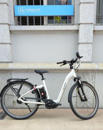 Flyer Gotour5 5.00