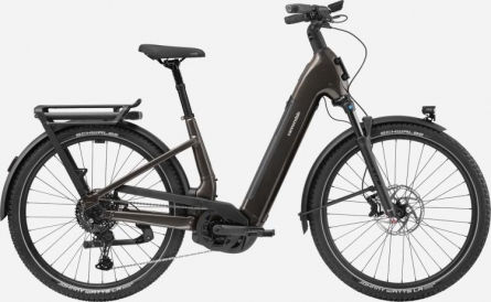Cannondale Tesoro Neo X 3