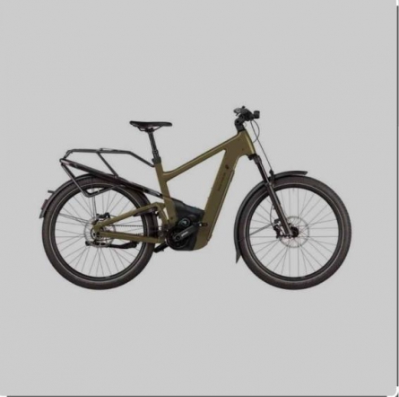 Riese & Müller Delite5 Gt Pinion